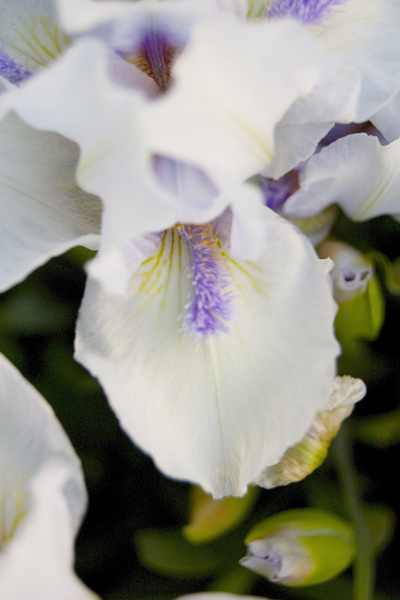 natural_02