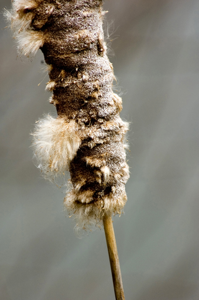 natural_03