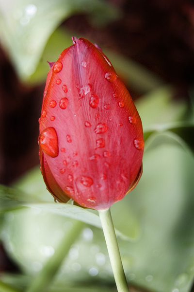 natural_04