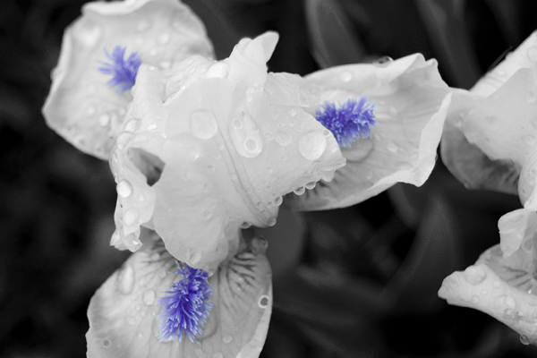 natural_05