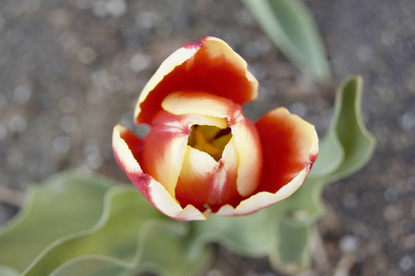 natural_07