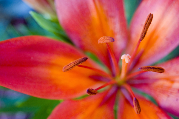 natural_08
