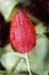 natural_04