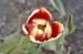 natural_07