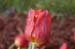 natural_09