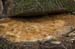 natural_11