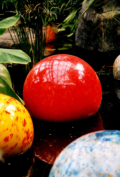 still_life_02