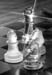 still_life_06
