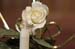 wedding_17